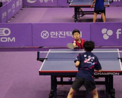 제71회 전국종별탁구선수권대회 출전