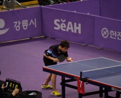 제71회 전국종별탁구선수권대회 출전
