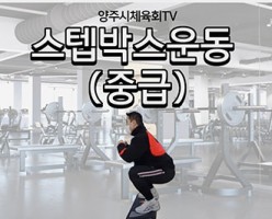 [일반체육] 스텝박스운동(중급)